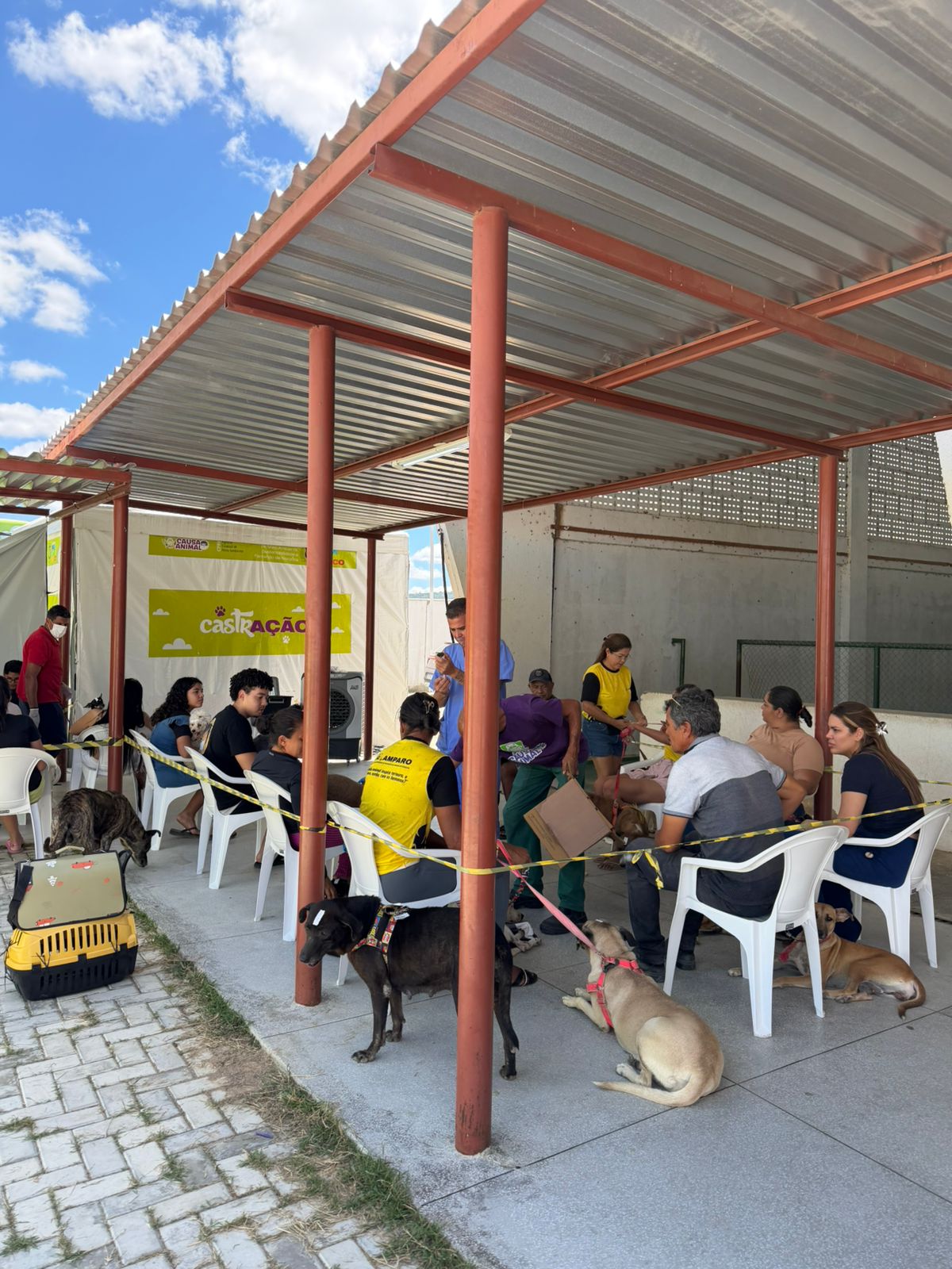 Mutirão de castração gratuita beneficia centenas de animais em Ouricuri